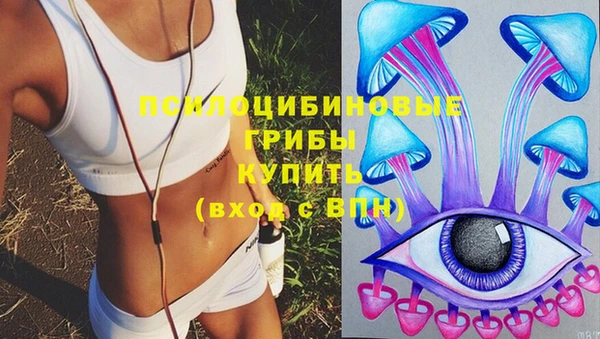 бутират Богородицк