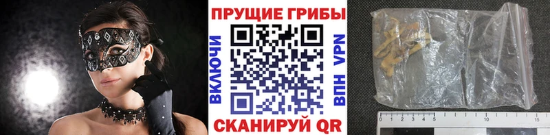 KRAKEN ссылки  Кирово-Чепецк  Галлюциногенные грибы MAGIC MUSHROOMS 